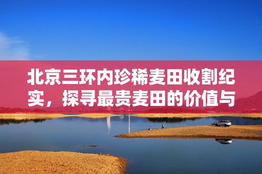 北京三环内珍稀麦田收割纪实，探寻最贵麦田的价值与传承
