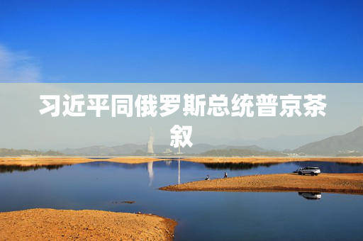 习近平同俄罗斯总统普京茶叙