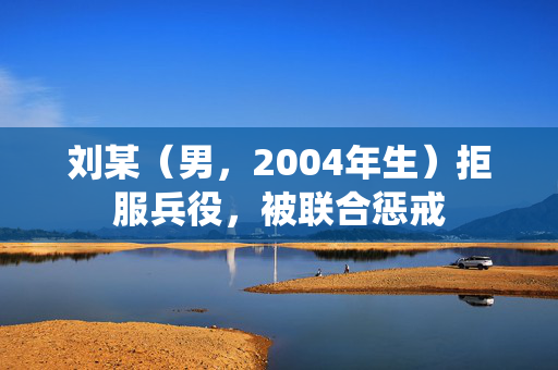 刘某（男，2004年生）拒服兵役，被联合惩戒