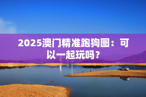 2025澳门精准跑狗图：可以一起玩吗？