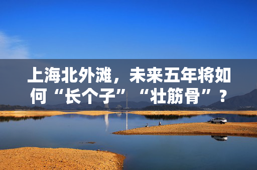 上海北外滩，未来五年将如何“长个子”“壮筋骨”？