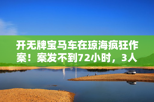 开无牌宝马车在琼海疯狂作案！案发不到72小时，3人落网