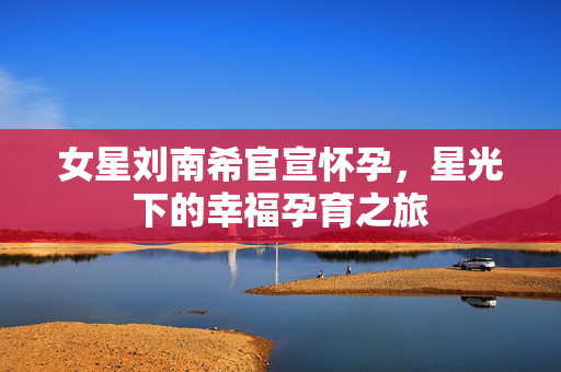 女星刘南希官宣怀孕，星光下的幸福孕育之旅