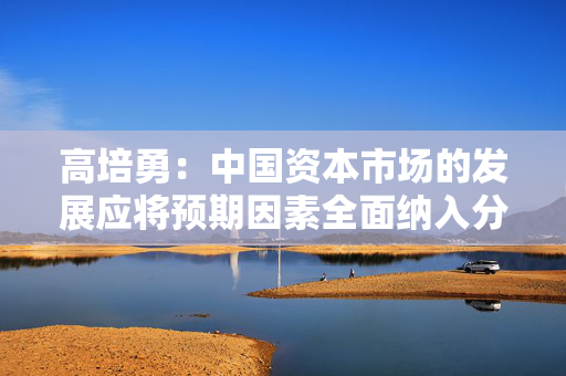 高培勇：中国资本市场的发展应将预期因素全面纳入分析和监测体系