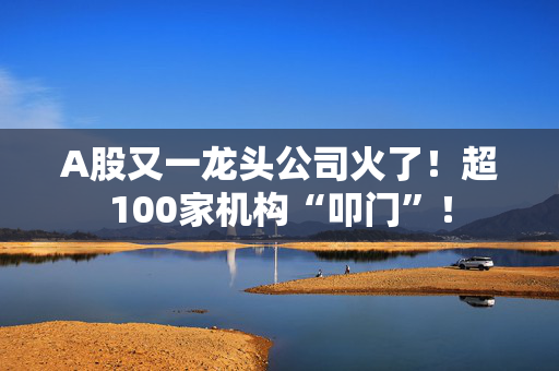 A股又一龙头公司火了！超100家机构“叩门”！