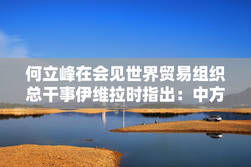 何立峰在会见世界贸易组织总干事伊维拉时指出：中方坚定支持多边主义和自由贸易，支持世界贸易组织在全球经济治理中发挥更大作用