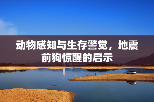 动物感知与生存警觉，地震前狗惊醒的启示