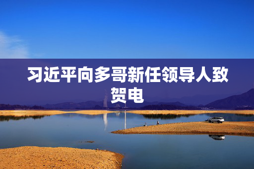 习近平向多哥新任领导人致贺电