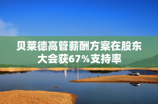 贝莱德高管薪酬方案在股东大会获67%支持率