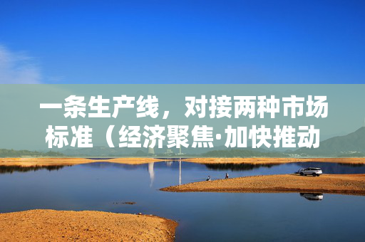 一条生产线，对接两种市场标准（经济聚焦·加快推动内外贸一体化）