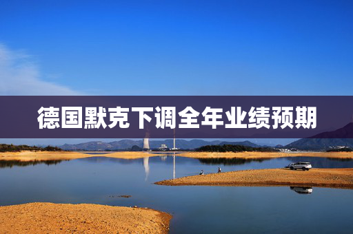 德国默克下调全年业绩预期