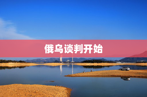 俄乌谈判开始