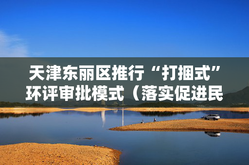 天津东丽区推行“打捆式”环评审批模式（落实促进民营经济发展的政策措施）