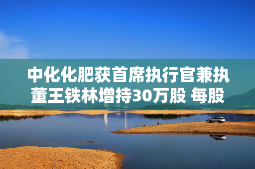 中化化肥获首席执行官兼执董王铁林增持30万股 每股作价1.153港元