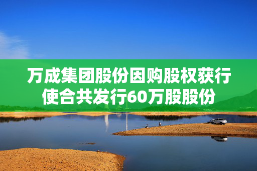 万成集团股份因购股权获行使合共发行60万股股份