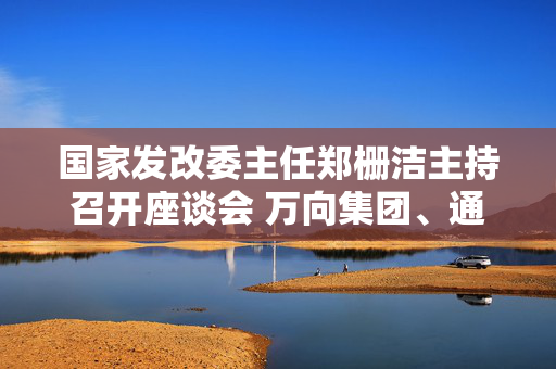 国家发改委主任郑栅洁主持召开座谈会 万向集团、通富微电等5家民企参加