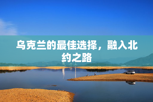 乌克兰的最佳选择，融入北约之路