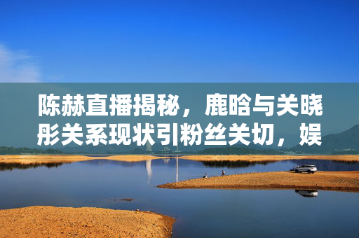 陈赫直播揭秘，鹿晗与关晓彤关系现状引粉丝关切，娱乐圈微妙情感曝光