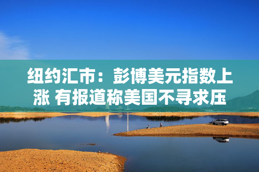 纽约汇市：彭博美元指数上涨 有报道称美国不寻求压低美元汇率
