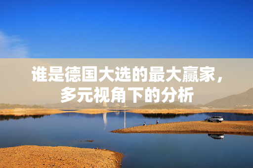 谁是德国大选的最大赢家，多元视角下的分析