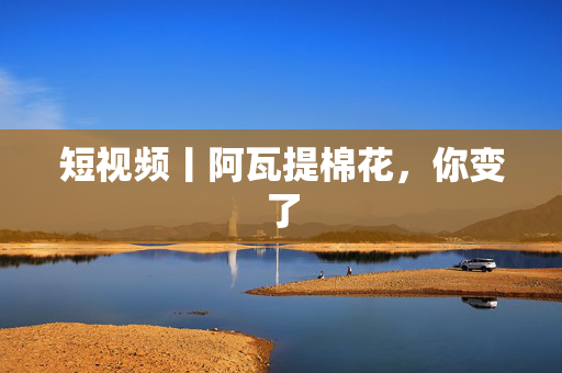短视频丨阿瓦提棉花，你变了