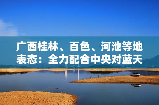 广西桂林、百色、河池等地表态：全力配合中央对蓝天立的审查调查