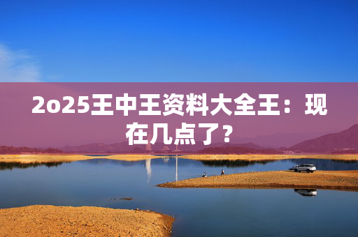 2o25王中王资料大全王：现在几点了？