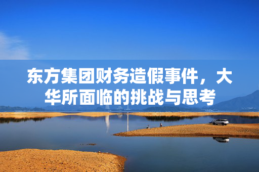 东方集团财务造假事件，大华所面临的挑战与思考