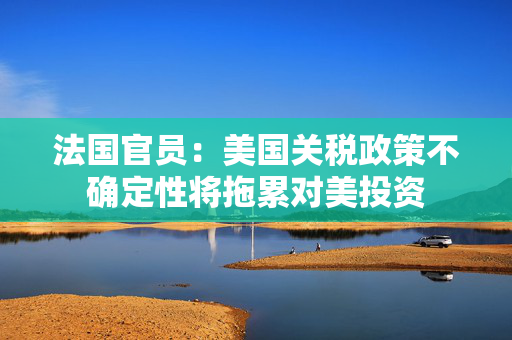 法国官员：美国关税政策不确定性将拖累对美投资