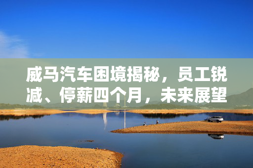 威马汽车困境揭秘，员工锐减、停薪四个月，未来展望堪忧