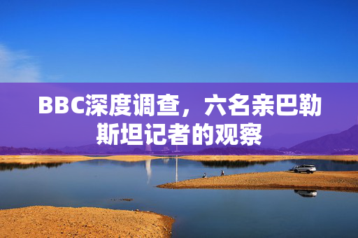 BBC深度调查，六名亲巴勒斯坦记者的观察