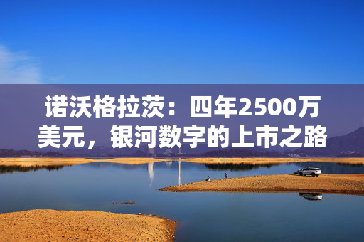 诺沃格拉茨：四年2500万美元，银河数字的上市之路 “充满挫败”