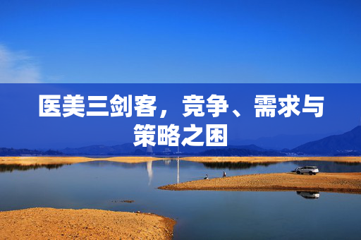 医美三剑客，竞争、需求与策略之困