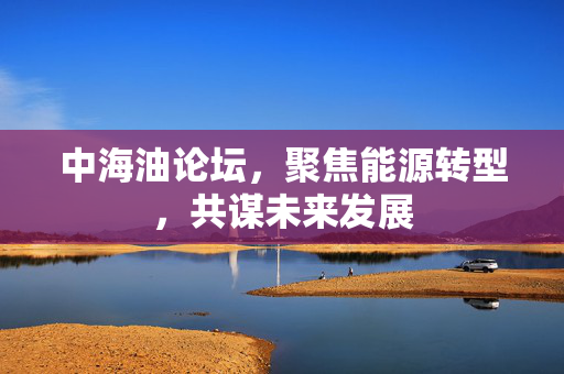 中海油论坛，聚焦能源转型，共谋未来发展