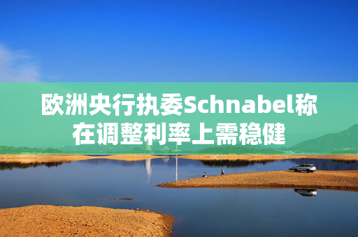 欧洲央行执委Schnabel称在调整利率上需稳健