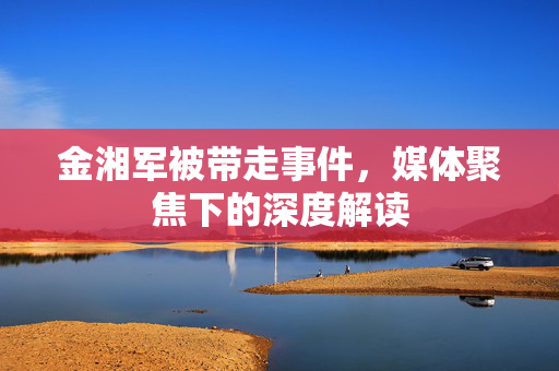 金湘军被带走事件，媒体聚焦下的深度解读
