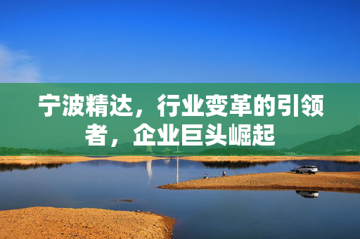 宁波精达，行业变革的引领者，企业巨头崛起