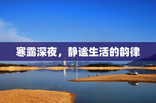 寒露深夜，静谧生活的韵律