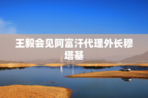 王毅会见阿富汗代理外长穆塔基