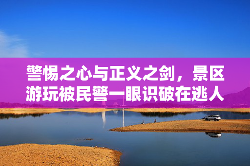 警惕之心与正义之剑，景区游玩被民警一眼识破在逃人员