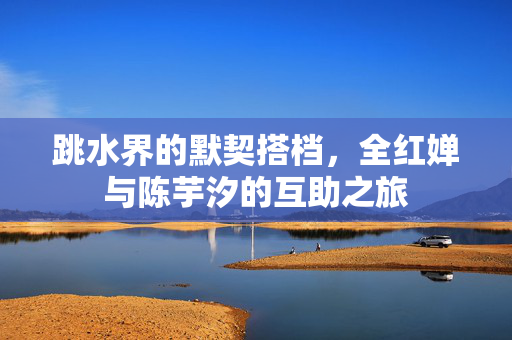 跳水界的默契搭档，全红婵与陈芋汐的互助之旅