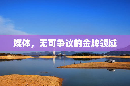 媒体，无可争议的金牌领域