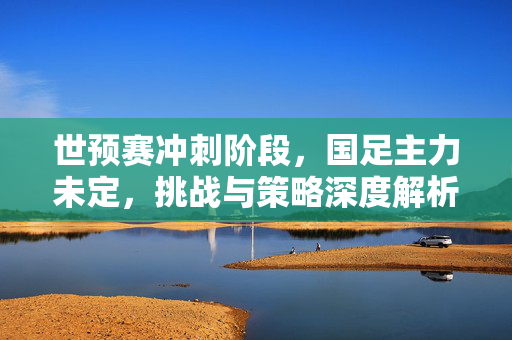 世预赛冲刺阶段，国足主力未定，挑战与策略深度解析