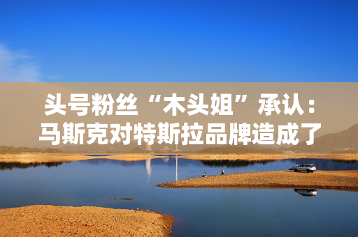 头号粉丝“木头姐”承认：马斯克对特斯拉品牌造成了损害