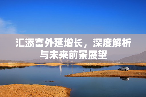 汇添富外延增长，深度解析与未来前景展望