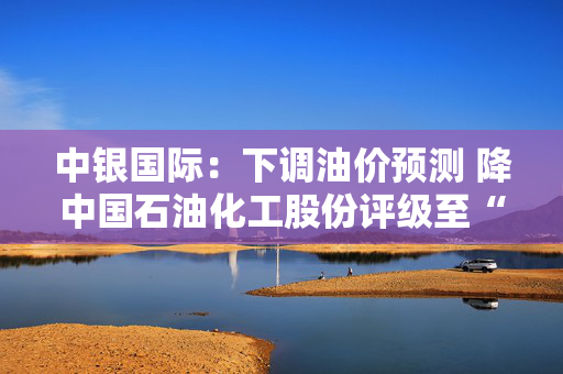 中银国际：下调油价预测 降中国石油化工股份评级至“持有”