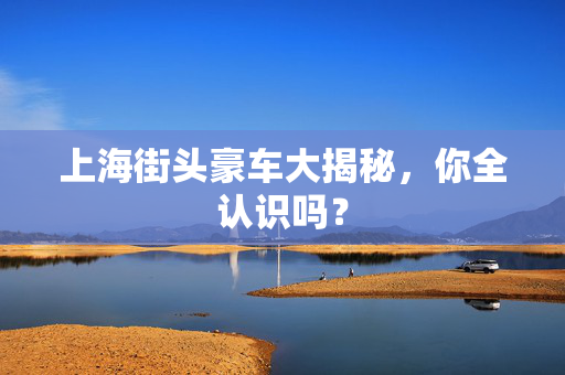 上海街头豪车大揭秘，你全认识吗？