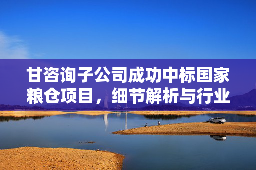 甘咨询子公司成功中标国家粮仓项目，细节解析与行业洞察