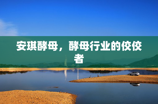 安琪酵母，酵母行业的佼佼者