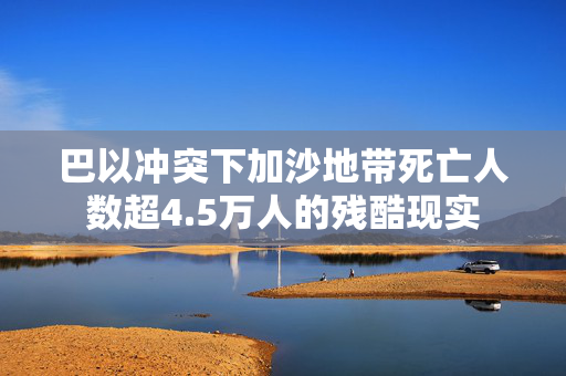 巴以冲突下加沙地带死亡人数超4.5万人的残酷现实